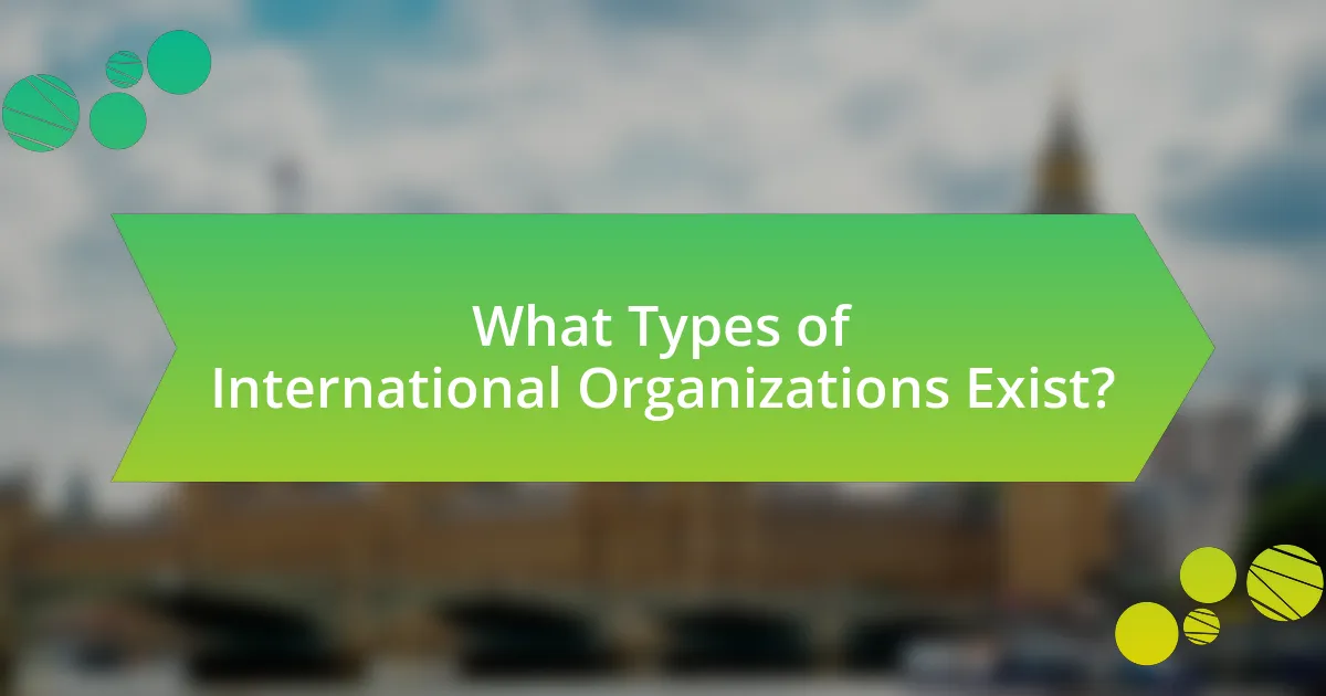 What Types of International Organizations Exist?